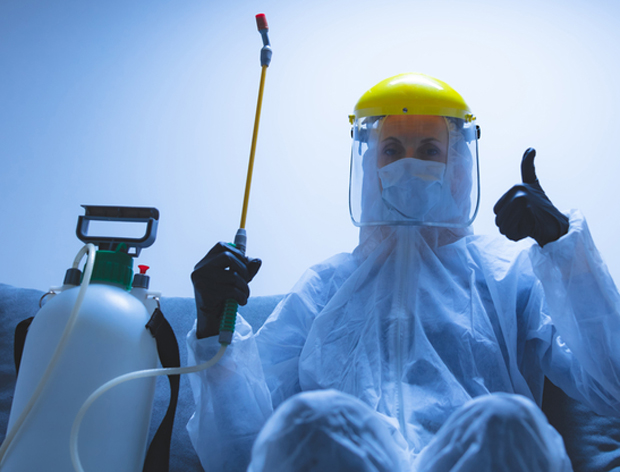 Горњи Милановац: И даље без новооболелих